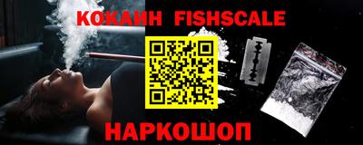 гашик Будённовск