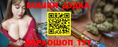 гашик Будённовск