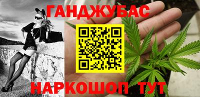 гашик Будённовск