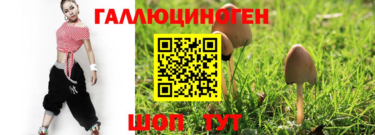 Галлюциногенные грибы GOLDEN TEACHER Северск