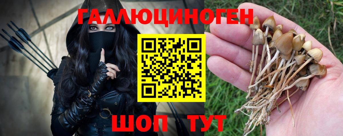 Северск  как найти   Галлюциногенные грибы мицелий  Вход с VPN  Галлюциногенные грибы прущие грибы 